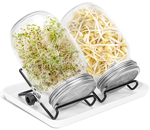 Vigevee Sprossenglas Keimglas, 2er Set 950ML Sprossenglas mit Deckel & Sieb, Kapazität 2 Einstellbare Halterung 1 Tablett, Sprossen Keimgerät für Alfalfa Kresse Brokkoli Mungobohnen