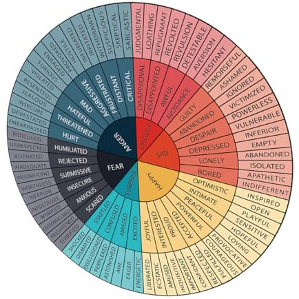 VILLCASE Emotionsraddiagramm Aufkleber Vinyl Selbstklebende Gefühlsradposter Für Sozialarbeit Therapiebürodekor Gefühlsdiagramm Büroschreibtischdekor