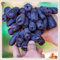 Raíces de uva, especialistas en plantación, vid de uva de dedo rara, ideal para plantar en otoño, requiere un mantenimiento mínimo, 4 bombillas-E