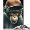 Cool Monkey Puzzle, Premium-Puzzle aus 100% recyceltem Kartonpapier, rechteckig, für Jungen oder Mädchen, 1000 Teile (75 x 50 cm)