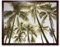Artery8 Perrington Tropical Palm Trees Photo Art Print Framed Poster Wall Decor 12x16 inch