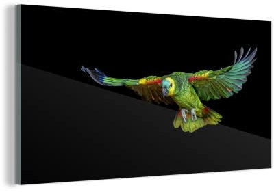 MuchoWow Glasbild Glasfoto Wandbild Bilder Deko 160x80 cm Papagei - Vogel - Federn