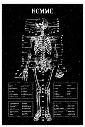 Jdekaec Leinwand-Poster, Motiv: Medizin, Anatomie, Retro, Wandkunst, Dekor, Bild, Gemälde für Wohnzimmer, Schlafzimmer, Dekoration, ungerahmt, 30 x 45 cm