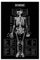 Jdekaec Leinwand-Poster, Motiv: Medizin, Anatomie, Retro, Wandkunst, Dekor, Bild, Gemälde für Wohnzimmer, Schlafzimmer, Dekoration, ungerahmt, 30 x 45 cm