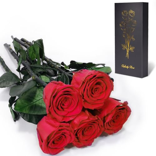 Yamonic Infinity Rose mit Stiel Geschenke für Frauen,Echte Rose Geburtstagsgeschenk für Frauen Ewige Rose in Geschenkbox Geschenke für Mama,Konservierte Blume zum Weihnachten, Deko Geschenk, 5 Rosen
