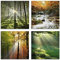 ARTland Wanddeko Glasbilder Wandbild Glas Bild 4er Set 4 teilig je 20x20 cm Natur Landschaft Wald Baum Grün Gras Wasserfall Herbst Sonne S6MK