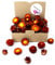 Getrocknete Blumen als Frühlingsdeko und zum Kranz Basteln - Strohblumen Trockenblumen in Rot Orange - Natürliche Streudeko - Frühling und Sommer Tischdekoration - Perfekt für Hochzeit