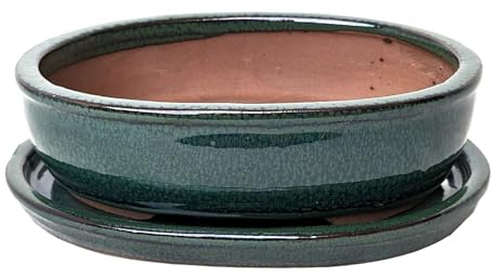 Glazed Ceramic Bonsai Pots with Matching Drip Trays (Bottle Green, 16cm)