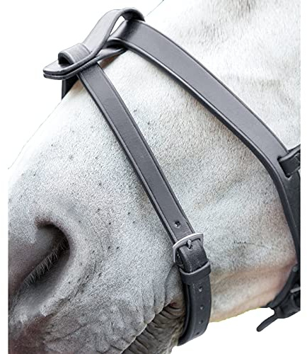 Shires Blenheim Flash Sangle, noir