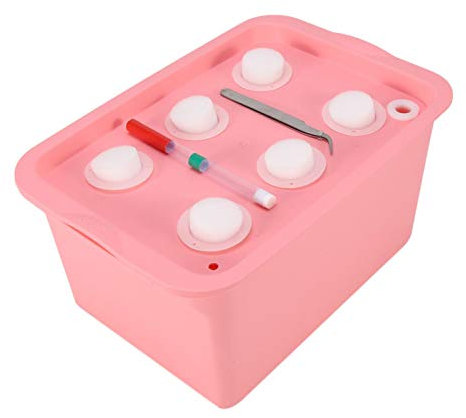 Hydroponic Kit, 6 Löcher Plant Site Hydroponic System Grow Kit Blase Indoor Outdoor Gartenschrank Box für Kräuter Gemüse Blumen(rot)