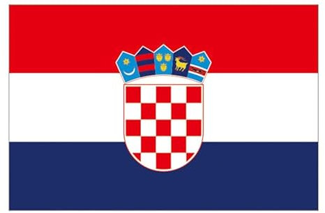 YCDtop 50 pièces Flagges Drapeau ondulant à la Main 14 * 21 cm Drapeau ondulant à la Main Drapeau du Ventilateur Drapeau Maroc