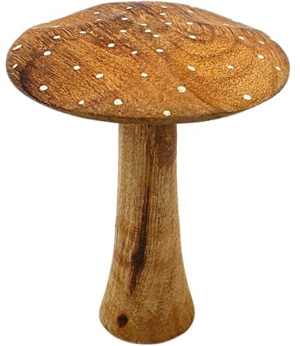 Dekohelden24 Pilz aus Mangoholz, Dekopilz, naturbelassen, Größe: H/Ø ca. 16 x 12 cm, Natur, 16 cm