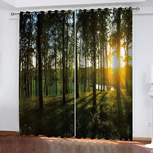 SATUSA Vorhänge Wohnzimmer Blickdicht Gardinen Verdunkelungsvorhang Schlafzimmer Kinderzimmer Thermovorhang Fensterdekoration 3D Wald Sonnige Landschaft Muster Ösenschal 2Er Set 200X160Cm