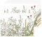 Antike Kräuter Wilde Blumen Papier Platzsets 50 Stück Retro Blumen Papier Tischsets 40x28 cm, Einweg Platzsets für Küche, Esstisch, Bauernhaus, Urlaub, Party Dekor