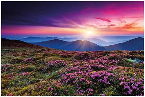 Wallario Glasbild Blumenbedeckte Wiese bei Sonnenuntergang - 60 x 90 cm Wandbilder Glas in Premium-Qualität: Brillante Farben, freischwebende Optik