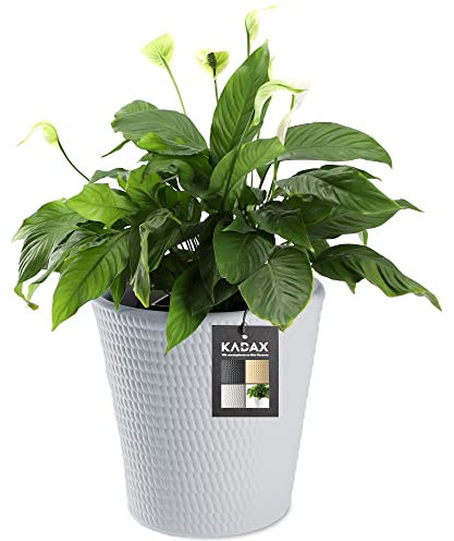 KADAX Blumentopf, Blumenkübel aus Kunststoff in 3 Farben, Pflanzkübel, witterungsbeständiger Blumenkübel mit Mattoberfläche, Outdoor-Pflanzkübel (Grau ø 40cm)