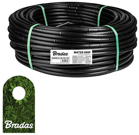 Bradas DSWWD161160-250-100 Gartenschlauch, 100 m