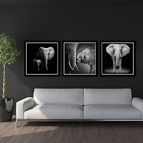 CAPOOK Triptyque Art Mural Toile éléphant d'Afrique Paysage Peinture Photo décoration de la Maison Moderne Impression sur toile-60x60 cm / 23.6x 23.6 sans Cadre