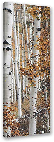 Feeby Leinwand Bilder - Natur - Wald - 40x100 cm- Deko Wohnzimmer - Wandbilder Schlafzimmer - Deko Aesthetic - Wand Deko - Leinwand Groß - Bäume - Deko Zimmer - Leinwandbilder XXL