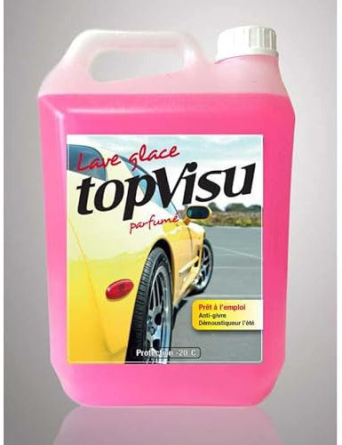 Multitanks Lave Glace -20°C TOPVISU, démoustiqueur - Bidon de 5 litres