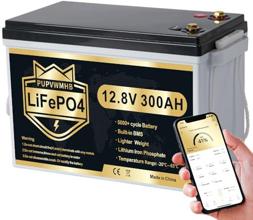 PUPVWMHB Batterie LiFePO4 Bluetooth LiFePO4 12 V 300 Ah, 200 A BMS 12 V, jusqu'à 15000 cycles, puissance maximale 3840 Wh avec coupe basse température, parfaite pour camping-car, solaire, moteur de