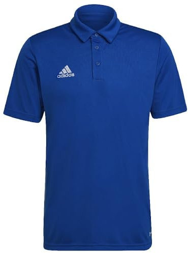 adidas Herren Entrada 22 Polo Shirt, Royal Blue, M Extra Tall