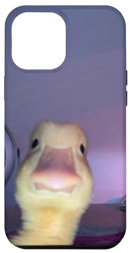 iPhone 12 Pro Max Funny Duck Selfie Aesthetic Yellow Chick Meme Animal Zoo Case