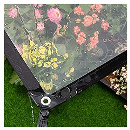 AWSAD Bâche transparente imperméable et résistante pour meubles de jardin, piscine - 2 x 4 m