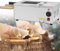 Forno Elettrico Commerciale Per Dolci A Camino, Macchina Per Gelato Con Griglia Da 1500 W, Perfetto Per Ristoranti, Cucine Domestiche, Snack Bar,220V