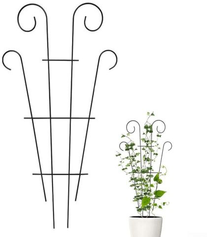 Telaio di supporto per piante rampicanti, pali di supporto per piante da giardino, supporto per fiori, traliccio per piante rampicanti, rampicanti, fiori in vaso (1 pezzo)