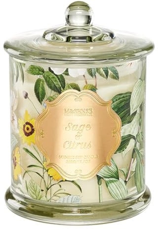 M&SENSE Duftkerze im Glas - Salbei & Zitrus Duft - 500g Kerze mit langer Brenndauer über 60 Stunden - Sojawachskerze als Heimdeko und Geschenk für Aromatherapie-Liebhaber SalbeiZitrusfrüchte