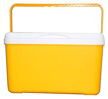 JNYB Mini Fridge 6 LiterAC/DC Portable Compact Personal Lightweight Multiple Functional Cooler and Warmer, 12V Refridgerater for Bedroom, Travel,Yellow