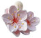 Auto Aromatherapie Luftauslass Clip,Asudaro Pinke Blume Aromatherapie Diffusor Clip Peach Blossom Auto Klimaanlage Outlet Aromatherapie-Clip Auto Luftauslass Lufterfrischer Innendekor Zubehör,Weiß