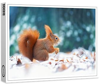 raxxa Premium-Puzzle | Eichhörnchen im Winter | 1000 Teile