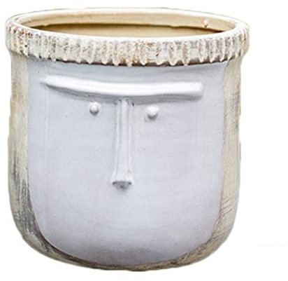 EVANEM Jardinière Pot de Fleurs Pots de Plantes Uniques Pots de jardinière en Terre Cuite Jardinière de Visage Pots de Jardin Grands jardinières Extérieur(17x17x16.5cm)