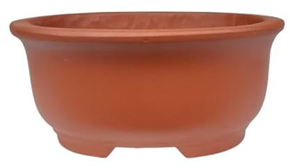 BIOMATA Maceta Bonsai Ceramica para Shohin 14,3x12x6,5 cm cm | Maceta Ovalada Gres Roja | Maceta para Bonsai Resistente a Cualquier Clima | Tiesto Ceramica con Drenaje Base Plana