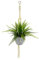 Flair Flower Künstlicher Farn Busch in Makramee Hängeampel Blumenampel Baumwollseil Hängeampel Blumentopf Pflanzen Halter Aufhänger Decken und Wanddekoration Künstliche Unechte Pflanzen