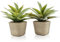 YVONNEYI 2 plantas artificiales de 29 cm, plantas artificiales de agave, plantas suculentas para sala de estar, baño, dormitorio, cocina, mesa, oficina, habitación, decoración