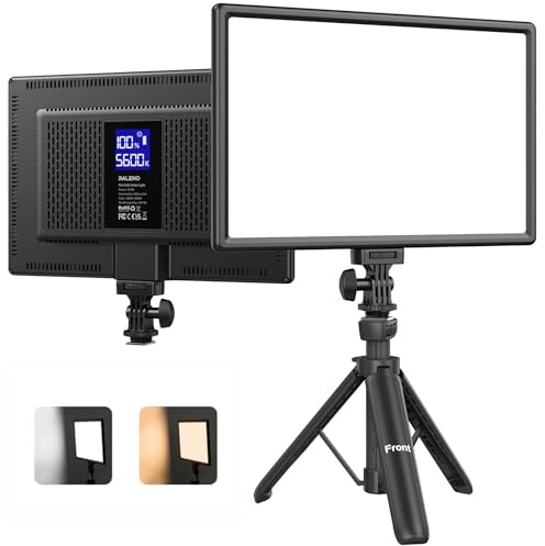 RALENO 19.5W LED Video Soft Light Panel, 650Lux/m 13 Camera Panel Light Built-in 8000mAh Battery, CRI>95 2500-6500K Photography Studio Lights for TikTok YouTube Video Recording Photography Streaming