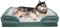 Furhaven XL Memory Foam Dog Bed Perfect Comfort Plush & Velvet Waves Sofa-Style w/Removable Washable Cover - Celadon Green, Jumbo (X-Large)