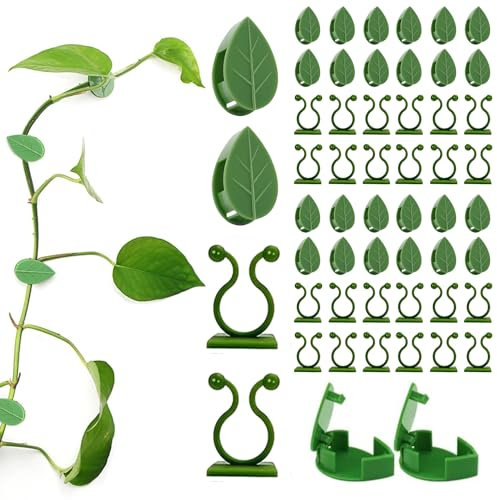 Yitobici Lot de 60 supports muraux pour plantes grimpantes dintérieur - Décoration murale pour plantes grimpantes