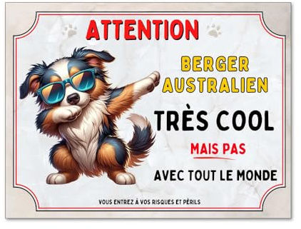 Plaque attention chien berger australien trop cool mais pas avec tout le monde, panneau berger australien monte la garde, pancarte berger australien humour personnalisable, modèle 2