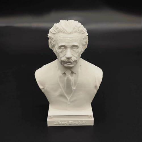 Newton Statue Wissenschaftler Einstein Büste Statue 3D Druck Galileo Figur Madame Curie Skulptur Tesla für Wohnzimmer Home Desk Decor Tesla Collection Figur Hawking Bust (Albert Einstein)