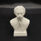 Newton Statue Wissenschaftler Einstein Büste Statue 3D Druck Galileo Figur Madame Curie Skulptur Tesla für Wohnzimmer Home Desk Decor Tesla Collection Figur Hawking Bust (Albert Einstein)