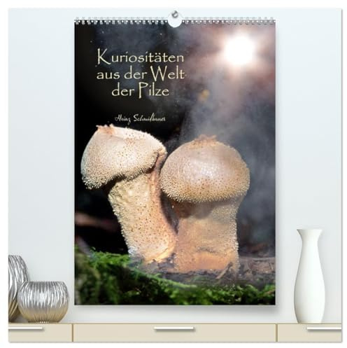 Kuriositäten aus der Welt der Pilze (hochwertiger Premium Wandkalender 2026 DIN A2 hoch), Kunstdruck in Hochglanz: Kuriose Pilze, bunt und seltsam, ... und dennoch faszinierend. (CALVENDO Natur)