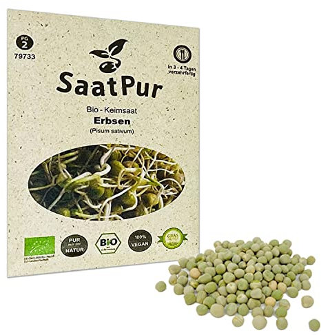 Erbsen BIO Keimsprossen von SaatPur - Sprossen Keimsaat - 90g
