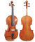 D Z Strad Modell 220 Violine mit Dominanten Saiten, Bogen, Koffer, Kolophonium und Schulterstütze – offener klarer Ton (4/4 Größe)