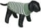 Nobby 64752 Hundepullover PASMA grün 32 cm