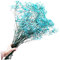 GRIRIW Flor preservada romantica Regalos navideños Christmas Gifts Christmas Presents Flor de Largo Planta Artificial Flores secas The Gift romántico Decorar Flores preservadas Ramo