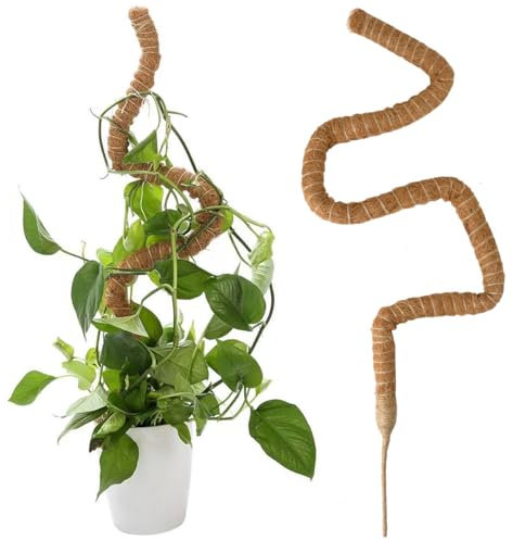 125cm Moosstab für Monstera Flexibler, Monstera Rankhilfe Pflanzstab Kokos mit Zubehör, Biegsame Moosstäbe für Pflanzen, Pflanzenstütze Monstera Stab Pflanzenständer für Kletterpflanzen Innenbereich